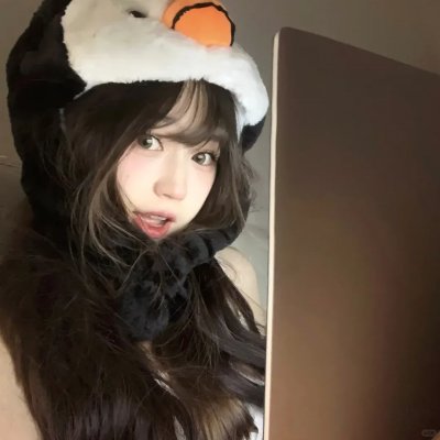 盗贼泰瑞莎
